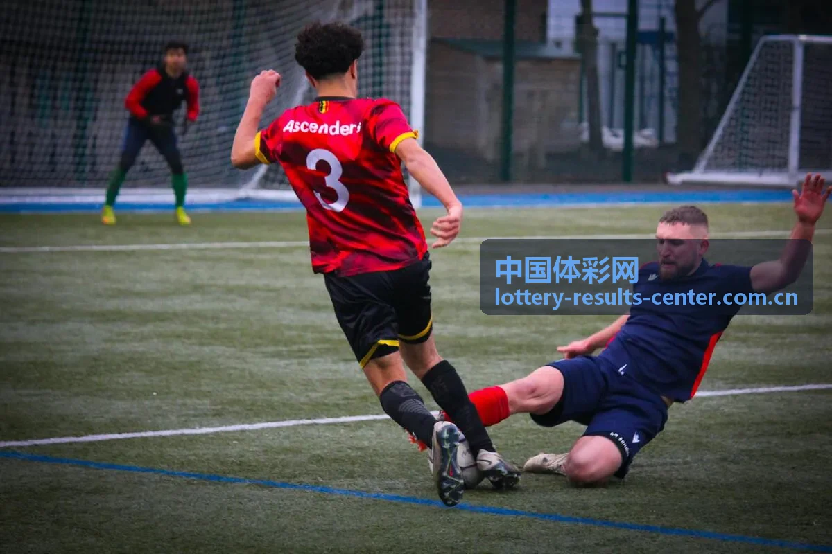 中国体彩网玩法规则指南与投注流程图示